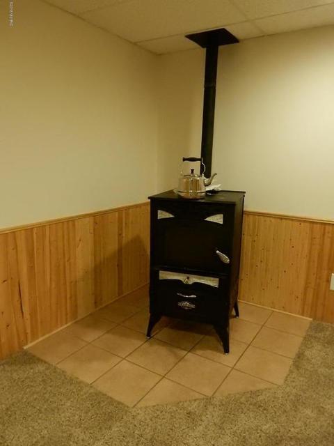 1561 James Rd, Lyons, MI 48851 photo 14