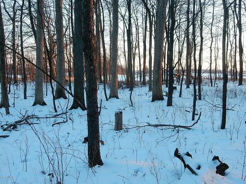 1561 James Rd, Lyons, MI 48851 photo 45
