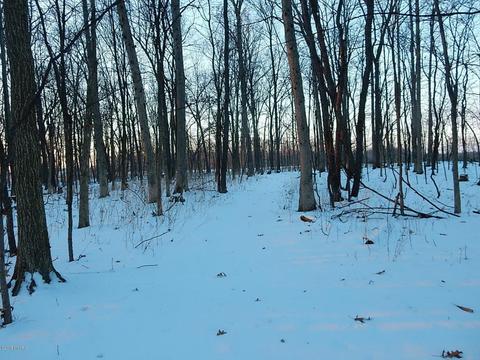 1561 James Rd, Lyons, MI 48851 photo 40
