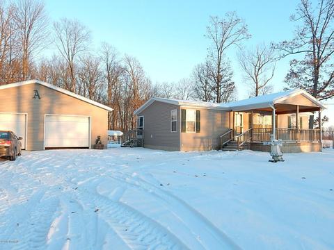 1561 James Rd, Lyons, MI 48851 photo 33