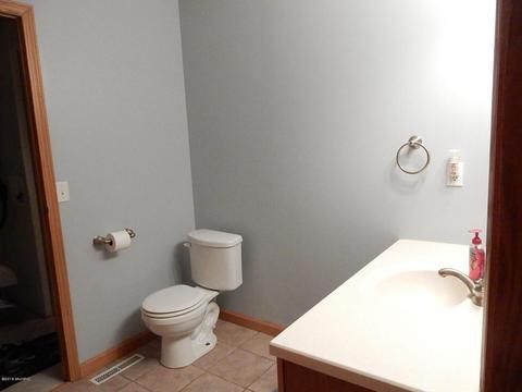 1561 James Rd, Lyons, MI 48851 photo 20