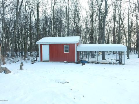 1561 James Rd, Lyons, MI 48851 photo 43