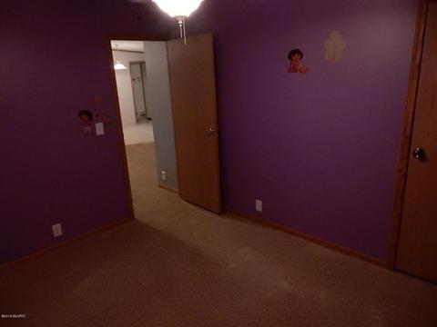 1561 James Rd, Lyons, MI 48851 photo 22