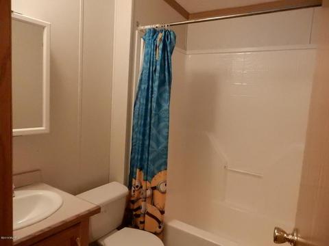 1561 James Rd, Lyons, MI 48851 photo 25