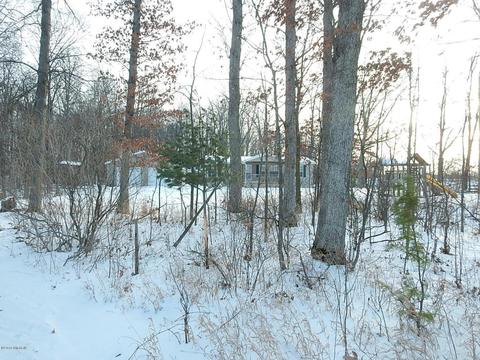 1561 James Rd, Lyons, MI 48851 photo 38