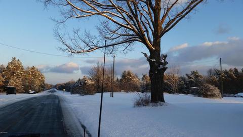 2635 E Loop Rd, Hesperia, MI 49421 photo 2