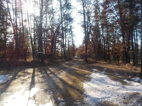 1457 W Pine Tree Rd, Baldwin, MI 49304 photo 2