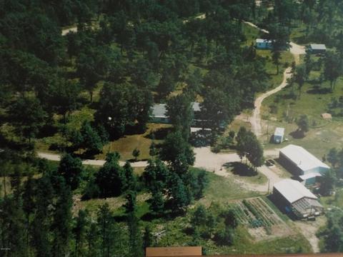 1457 W Pine Tree Rd, Baldwin, MI 49304 photo 1