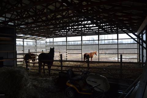 15075 E Moore Rd, Bailey, MI 49303 photo 7