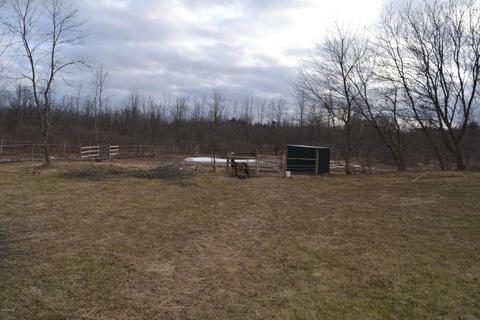 15075 E Moore Rd, Bailey, MI 49303 photo 9