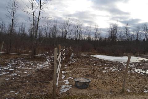 15075 E Moore Rd, Bailey, MI 49303 photo 10