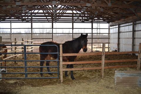 15075 E Moore Rd, Bailey, MI 49303 photo 6