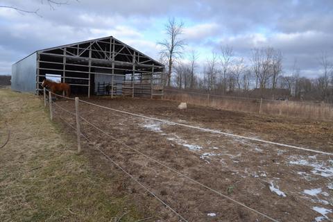 15075 E Moore Rd, Bailey, MI 49303 photo 11