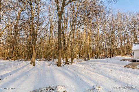 4607 Miriam Rd, Belding, MI 48809 photo 69