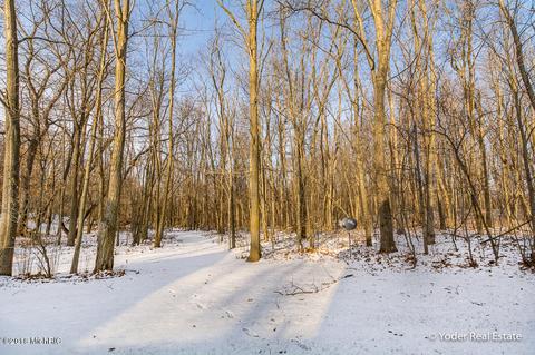 4607 Miriam Rd, Belding, MI 48809 photo 74