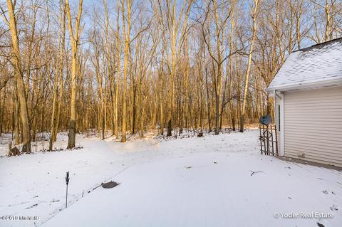 4607 Miriam Rd, Belding, MI 48809 photo 67