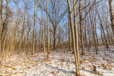 4607 Miriam Rd, Belding, MI 48809 photo 75