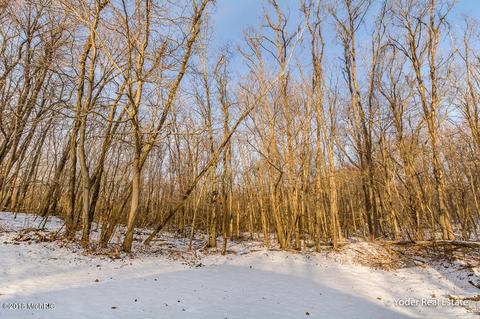 4607 Miriam Rd, Belding, MI 48809 photo 73