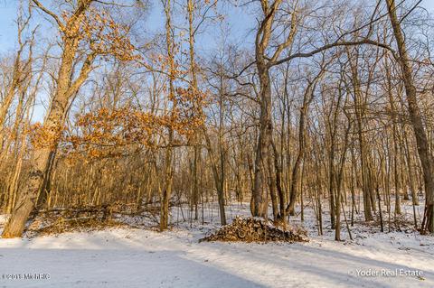 4607 Miriam Rd, Belding, MI 48809 photo 71