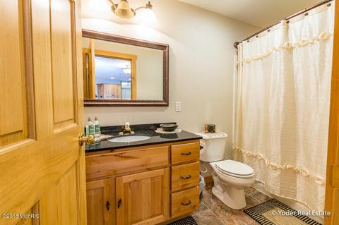 4607 Miriam Rd, Belding, MI 48809 photo 59