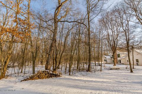 4607 Miriam Rd, Belding, MI 48809 photo 70