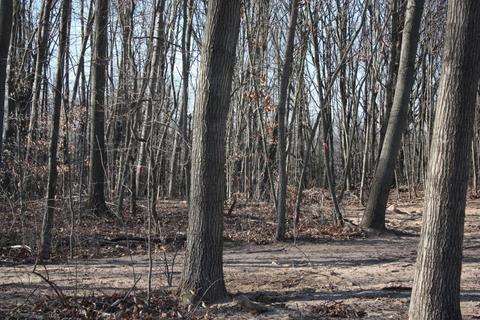 2013 Rustic Ct, Dorr, MI 49323 photo 6