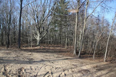 2013 Rustic Ct, Dorr, MI 49323 photo 13
