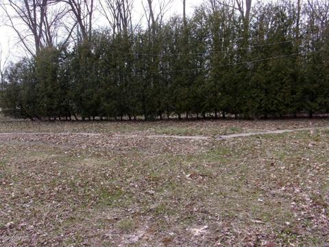 13664 Lenore Dr, Hudson, MI 49247 photo 6