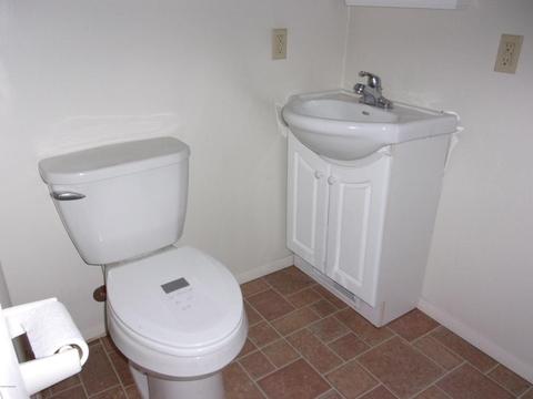 13664 Lenore Dr, Hudson, MI 49247 photo 19