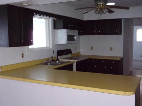 13664 Lenore Dr, Hudson, MI 49247 photo 14
