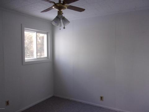 13664 Lenore Dr, Hudson, MI 49247 photo 18