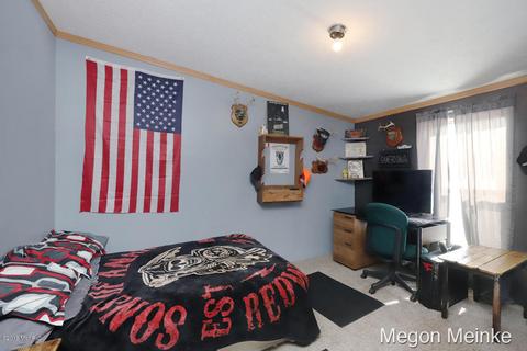 5183 Wooldridge, Belding, MI 48809 photo 19