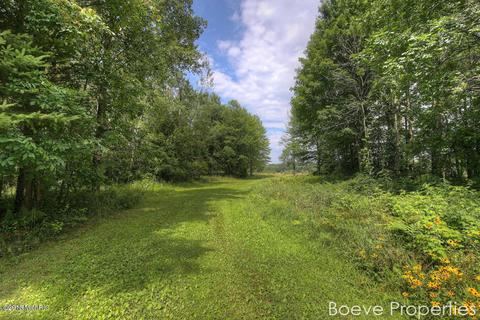 7354 E Harrison Rd, Walkerville, MI 49459 photo 22