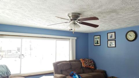 258 E Main St, Pewamo, MI 48873 photo 8