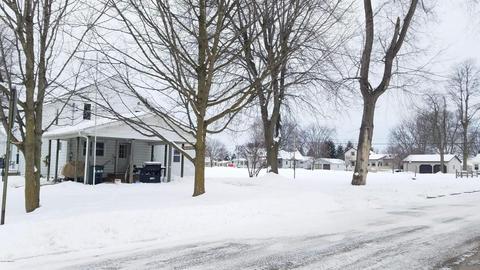 258 E Main St, Pewamo, MI 48873 photo 5