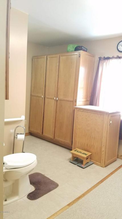258 E Main St, Pewamo, MI 48873 photo 14