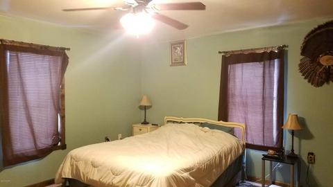 258 E Main St, Pewamo, MI 48873 photo 15
