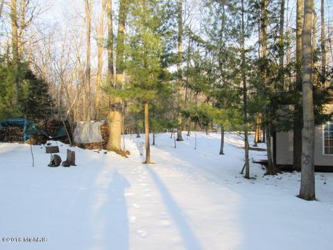 7735 W Range St, Mears, MI 49436 photo 10