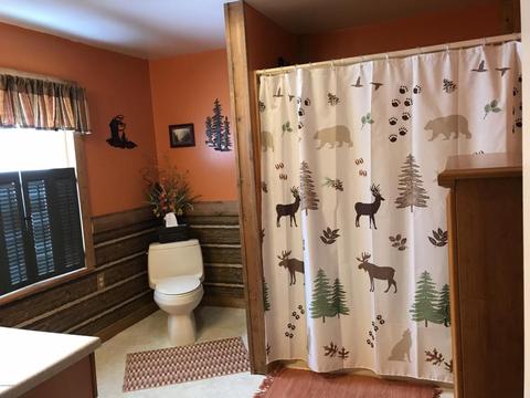 2604 Hemlock Beach Dr, Reading, MI 49274 photo 21