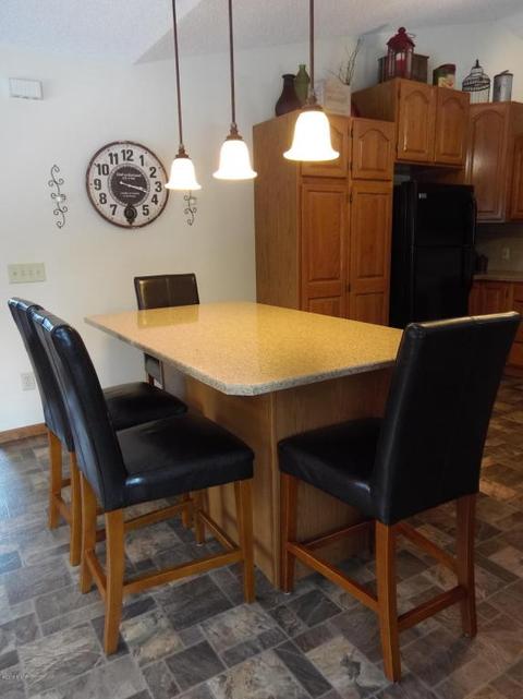 2538 E Tyler Rd, Hart, MI 49420 photo 7