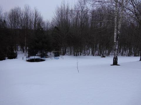 2538 E Tyler Rd, Hart, MI 49420 photo 47