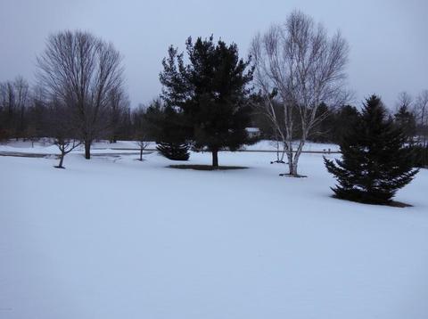 2538 E Tyler Rd, Hart, MI 49420 photo 49