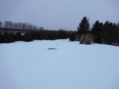 2538 E Tyler Rd, Hart, MI 49420 photo 48