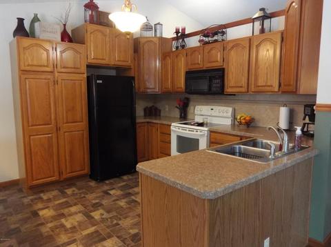 2538 E Tyler Rd, Hart, MI 49420 photo 5