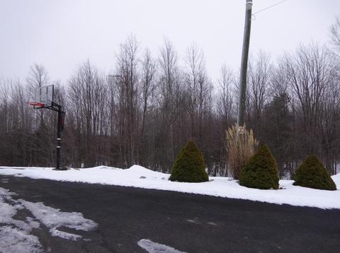 2538 E Tyler Rd, Hart, MI 49420 photo 46