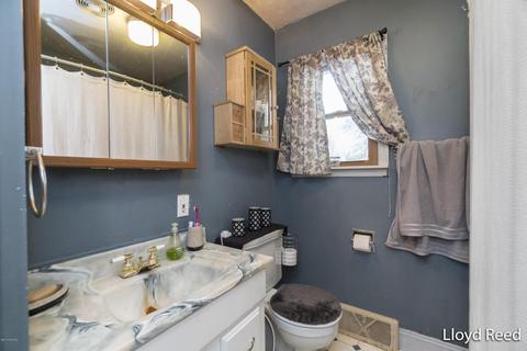 816 W Ellis Ave, Belding, MI 48809 photo 13