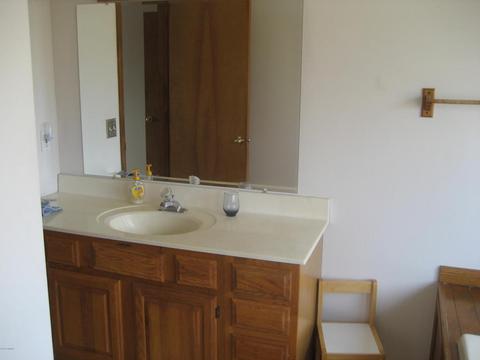 10748 W Chadwick Rd, Eagle, MI 48822 photo 32