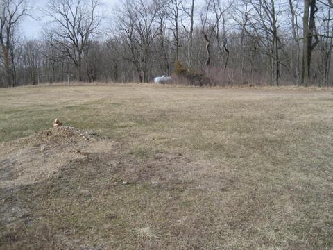 10748 W Chadwick Rd, Eagle, MI 48822 photo 49