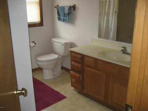 10748 W Chadwick Rd, Eagle, MI 48822 photo 42
