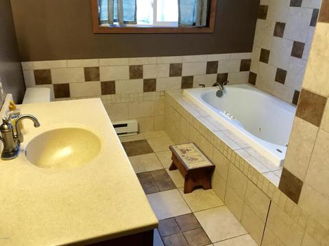 3899 E Shore Dr, Stanton, MI 48888 photo 8